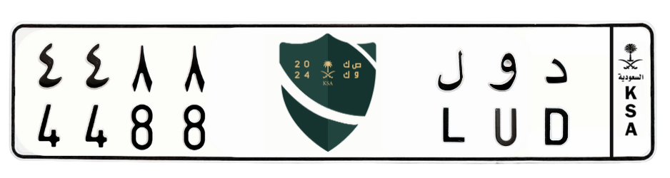 لوحة د و ل 4488